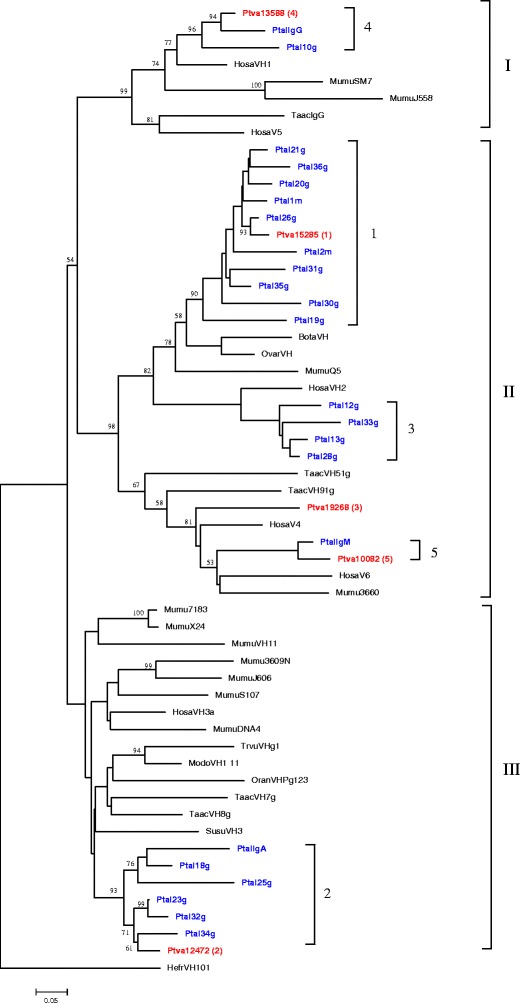 Fig. 5