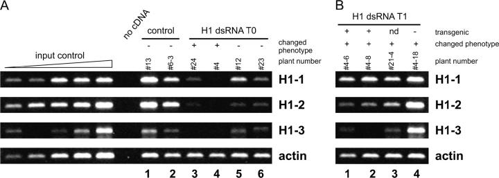 Figure 3.—