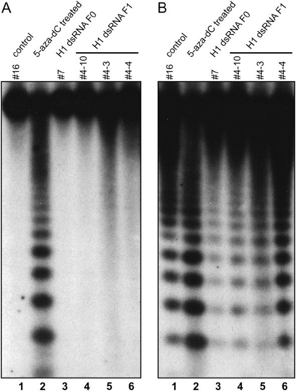 Figure 5.—