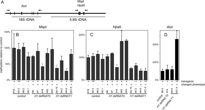 Figure 6.—