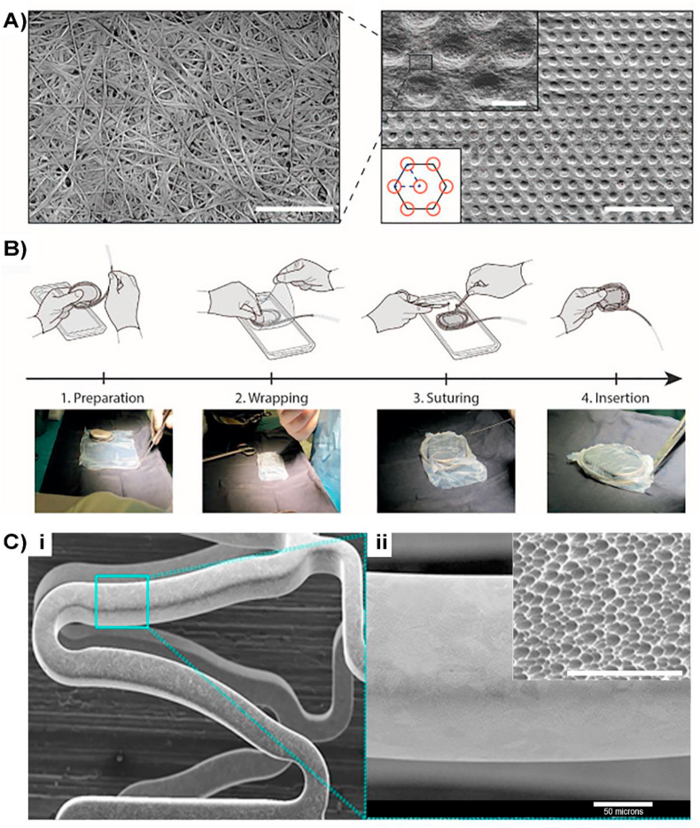 Fig. 6