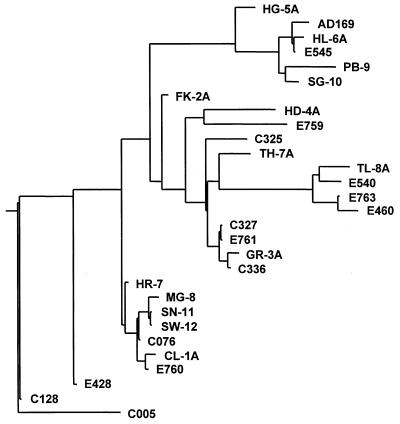 FIG. 1