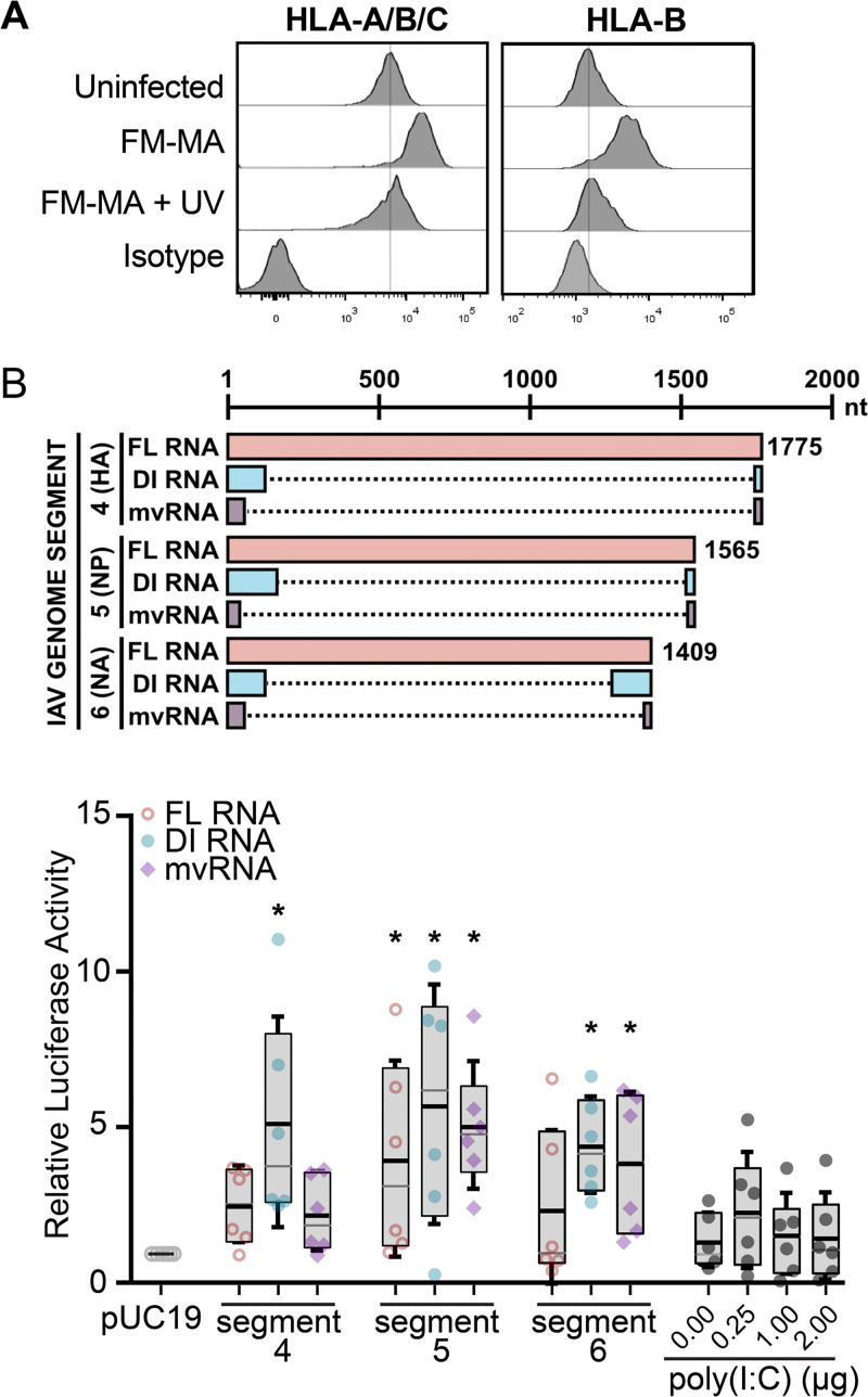 FIG 3