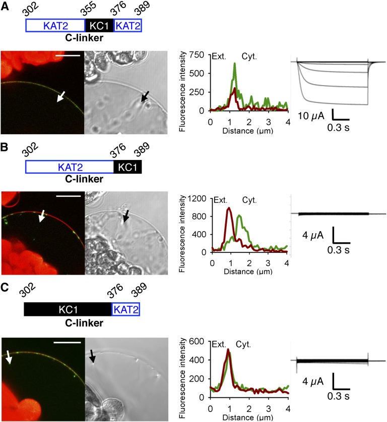 Figure 2.