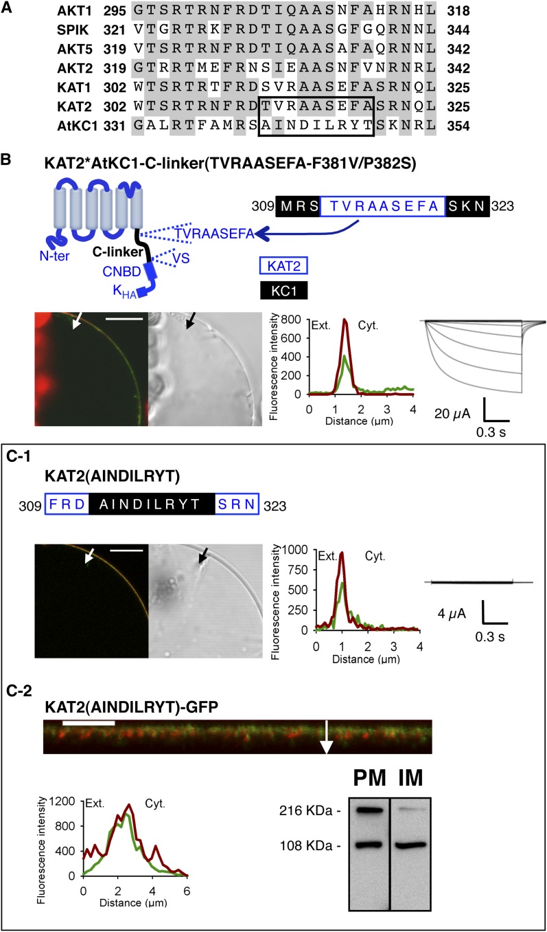 Figure 6.