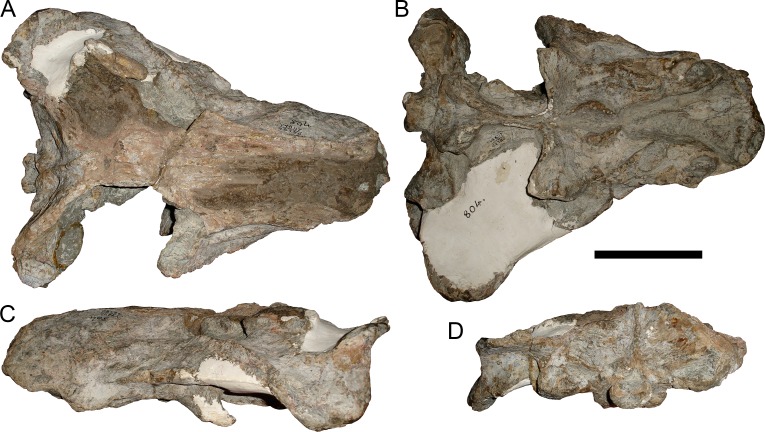 Figure 37