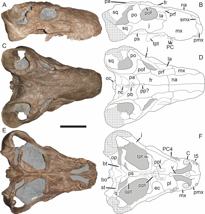 Figure 51