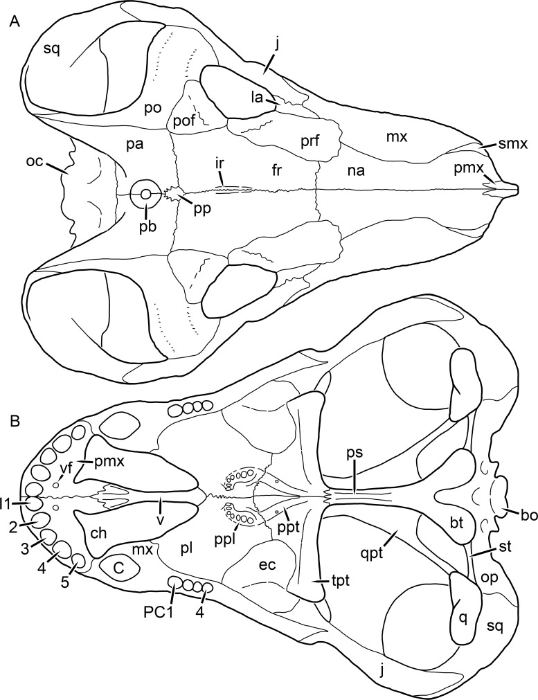 Figure 49