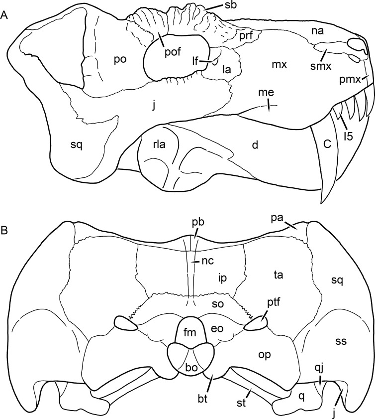 Figure 18