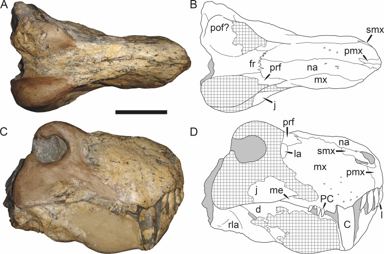 Figure 26