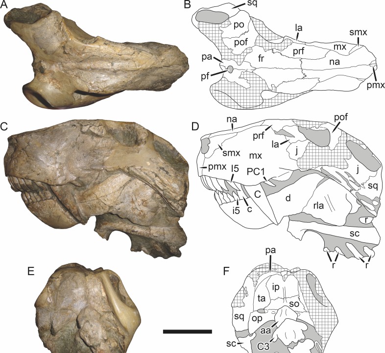 Figure 56