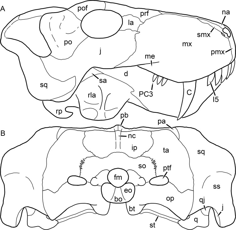 Figure 33