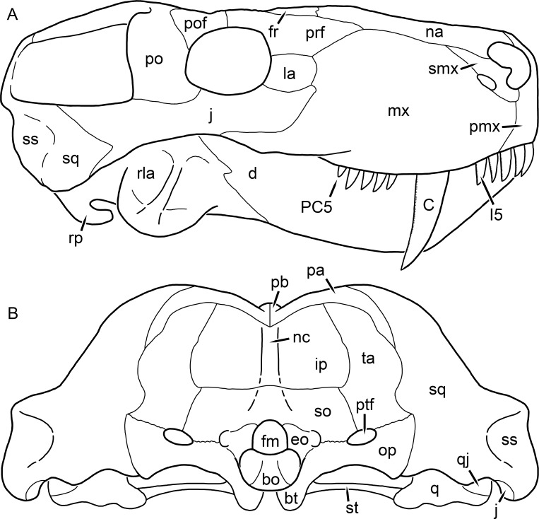 Figure 63