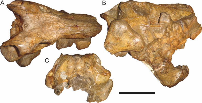 Figure 28