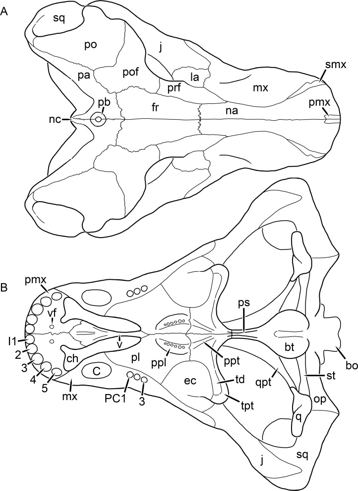 Figure 32