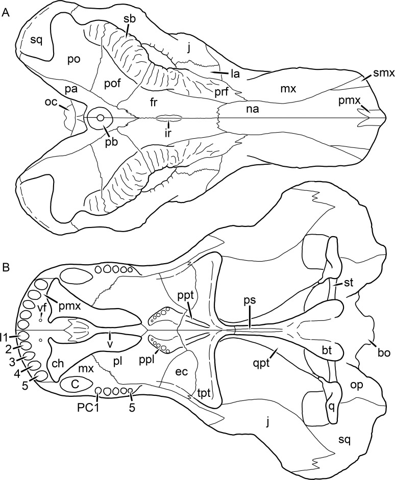 Figure 24