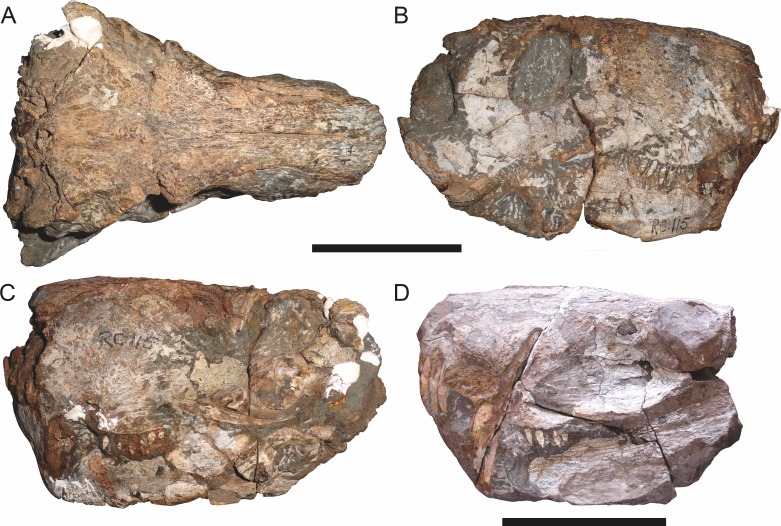 Figure 14