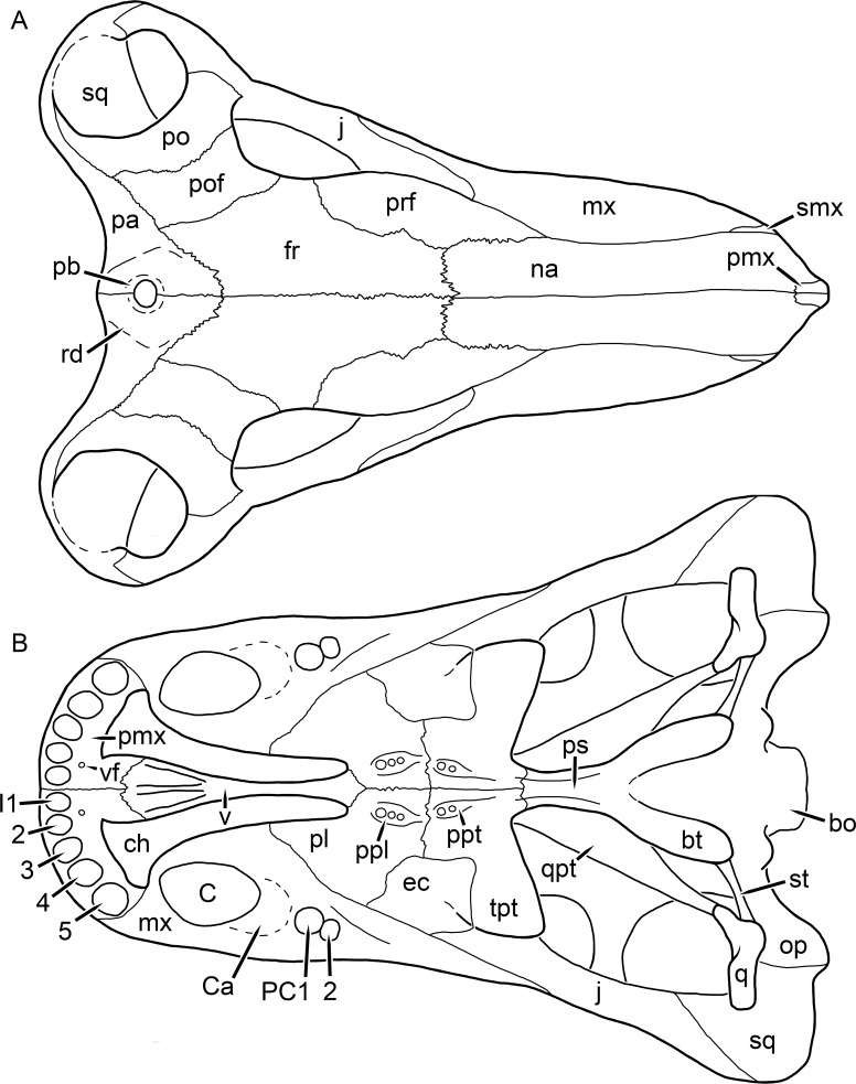 Figure 54