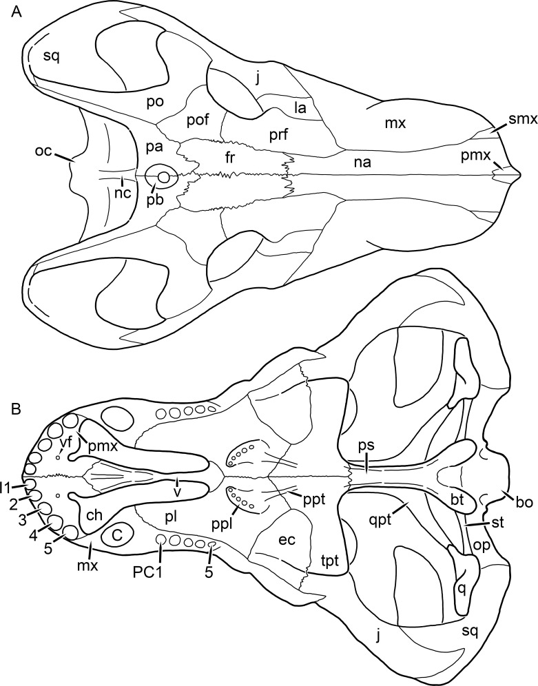 Figure 62