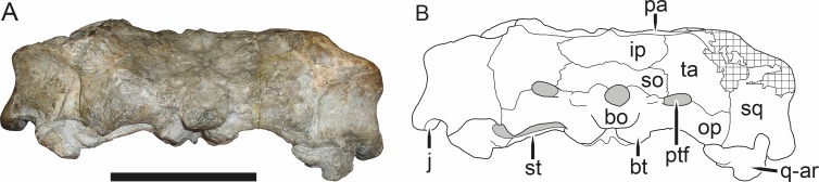 Figure 35