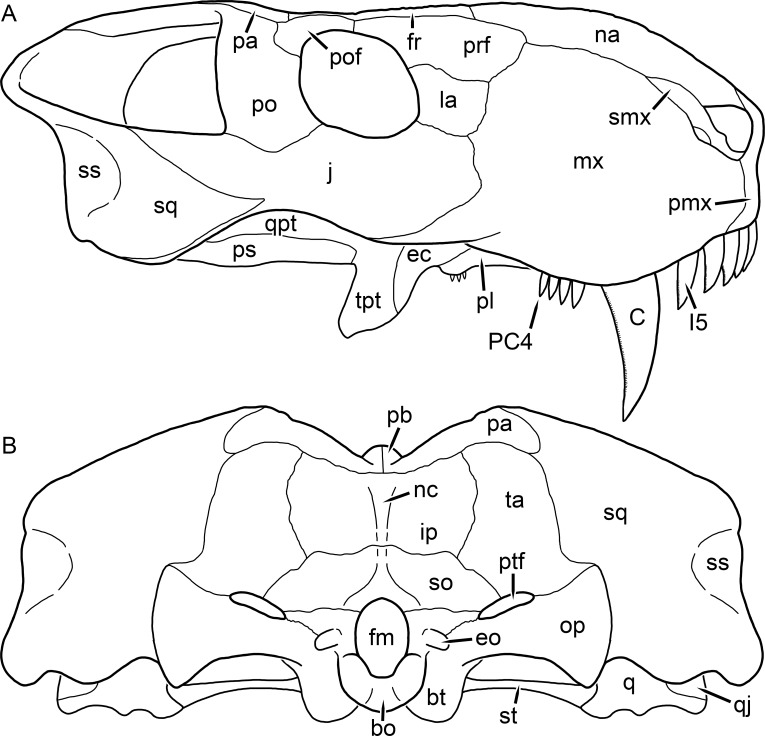 Figure 50