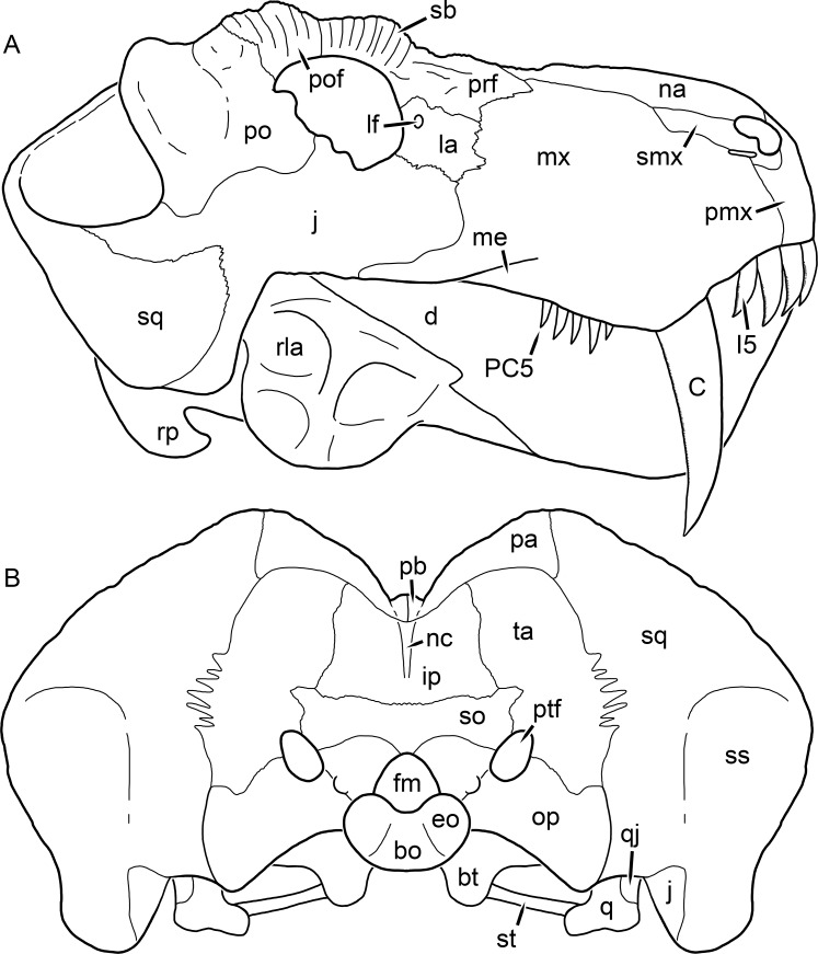 Figure 25