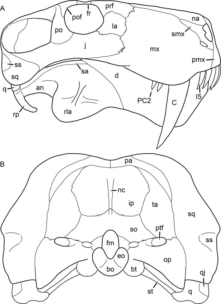 Figure 55