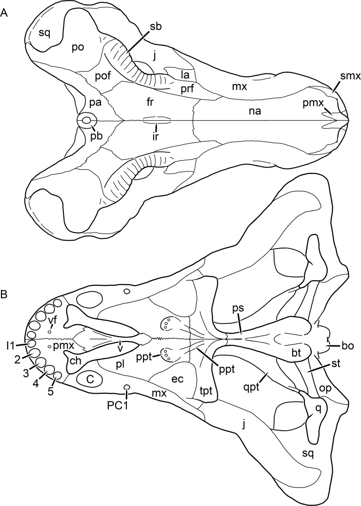 Figure 38