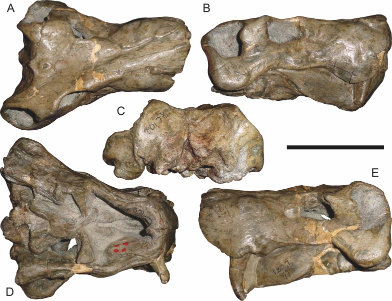 Figure 22