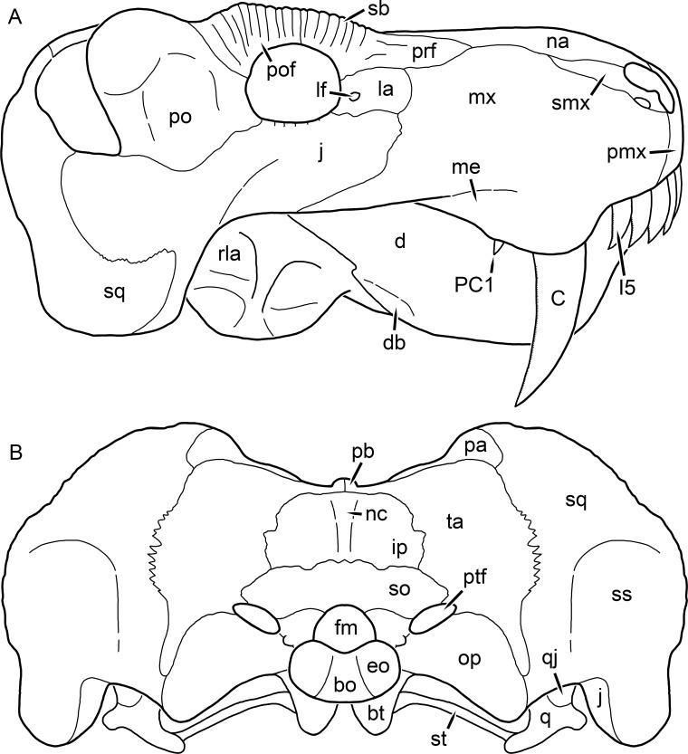 Figure 39