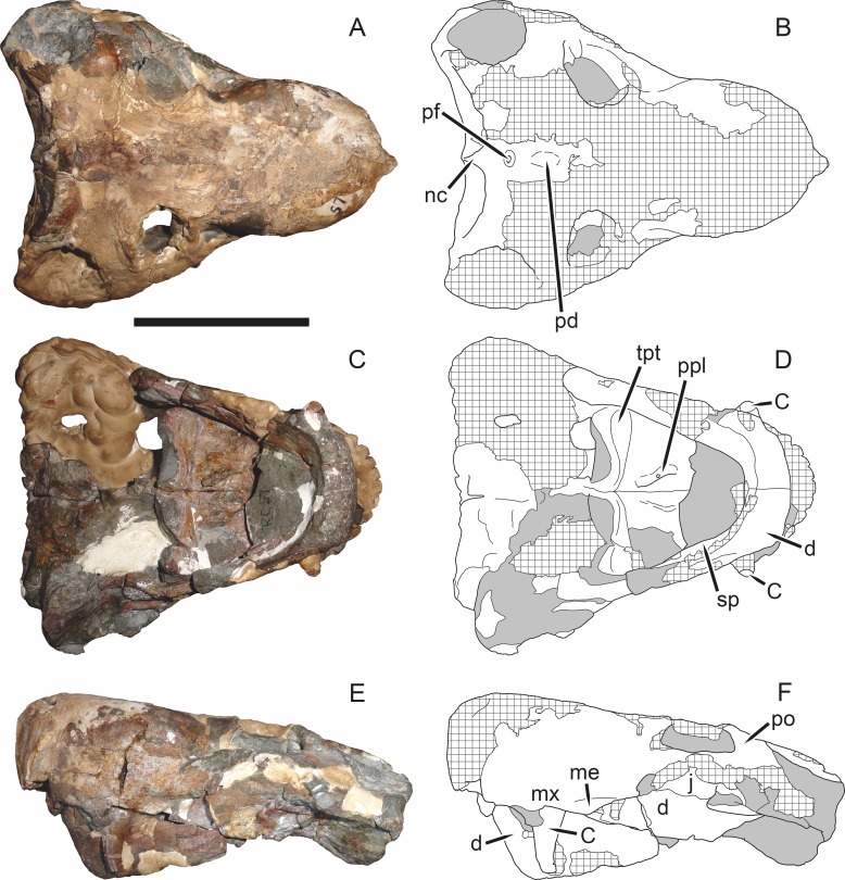 Figure 19