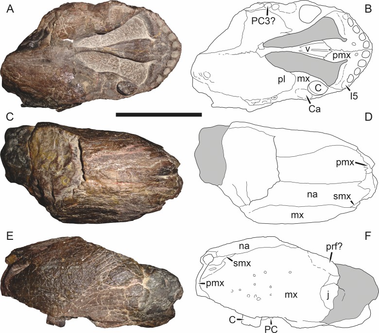 Figure 70