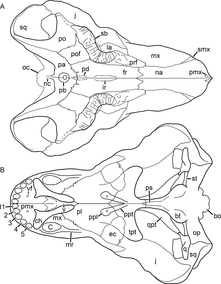 Figure 17