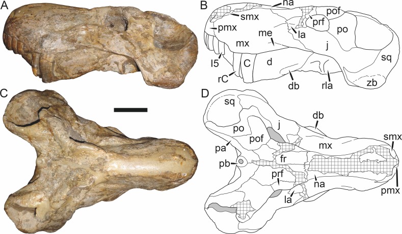 Figure 40