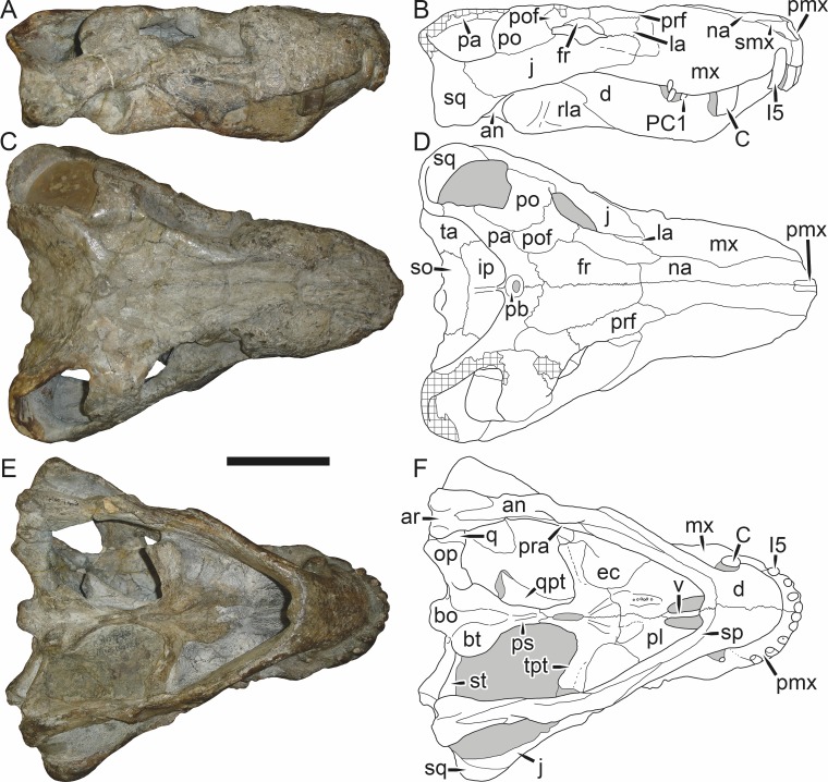 Figure 34