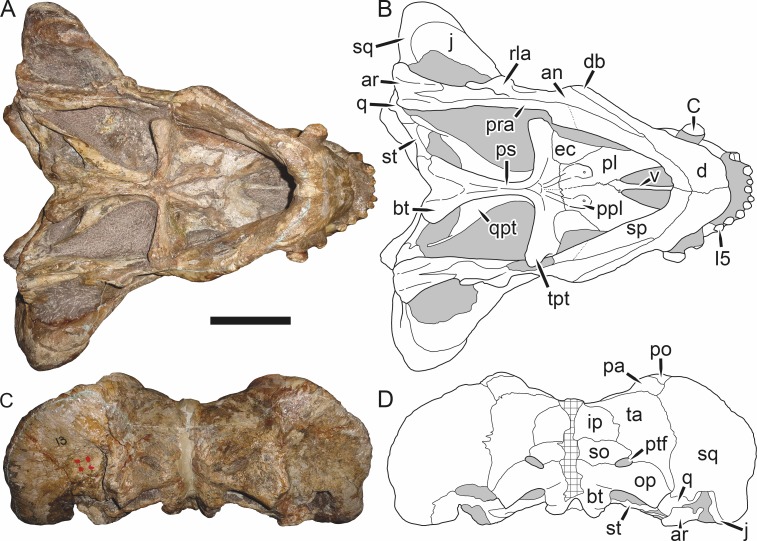 Figure 41