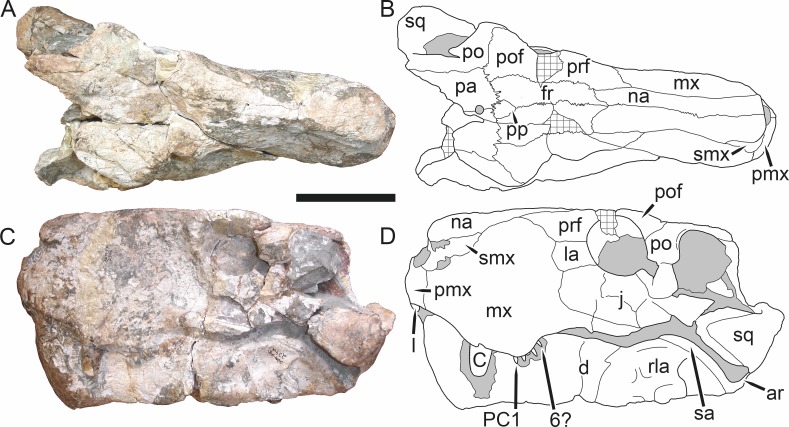 Figure 5