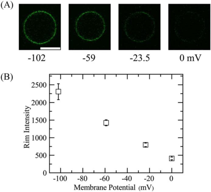 Figure 6.