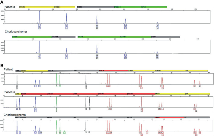 Figure 3