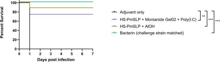 Fig 8