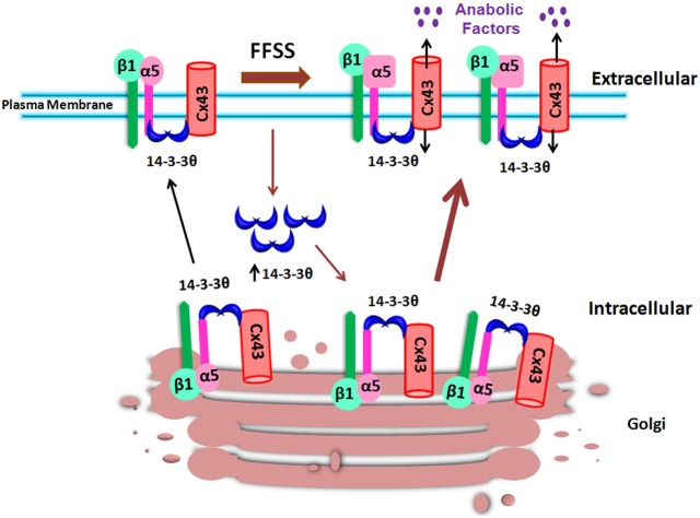 Fig. 9.