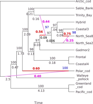 Fig. 6