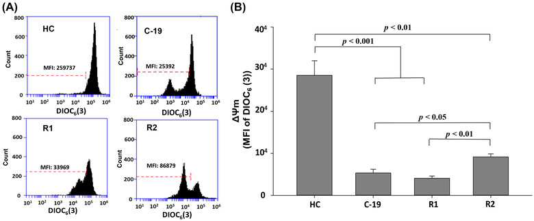 FIGURE 1