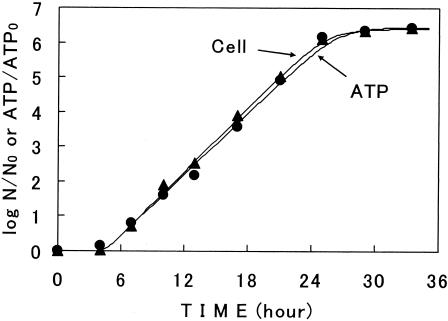 FIG. 10.