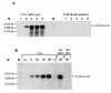 FIG. 8.