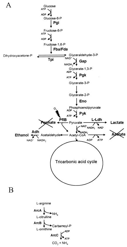 FIG. 9.