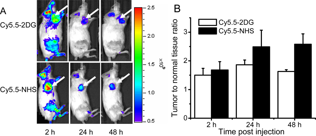 Figure 5