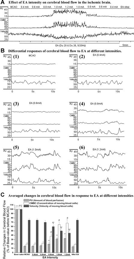 Fig. 3.