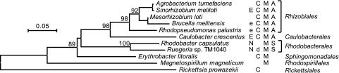 FIG. 4.