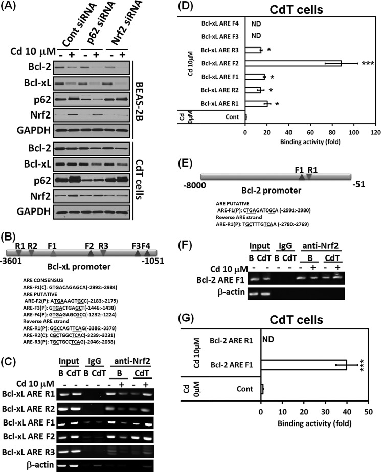 FIGURE 9.